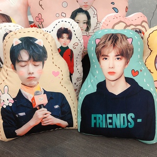 💚Pre Order❤️ หมอนหวังอี้ป๋อ เซียวจ้าน ทรงไดคัท นุ่มฟู น่ารักสุดๆค่ะ🐷🐰