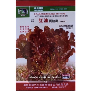 เมล็ดพันธุ์ ผักสลัด เรดโอ๊ค (Red Oak Leaf Lettuce) บรรจุ 4000 เมล็ด