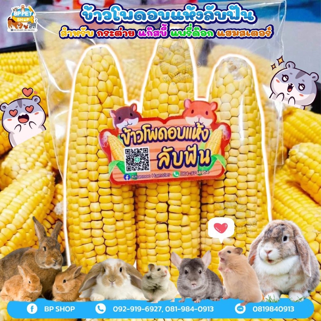 (Ratima)ขนมหนูแฮมเตอร์ ขนมกระต่าย ข้าวโพดลับฟัน ของเล่นลับฟัน ข้าวโพดฝัก เซตลับฟัน ไว้ลับฟันหนูแฮมสเตอร์และสัตวและขนาดเล