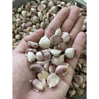 กระเทียมไทยแกะกลีบ (แกะด้วยมือ) คัดก่อนส่ง กลีบใหญ่ กระเทียมไทย100% หอมมากๆ กระเทียมใหม่ สะอาด หอม จัดจ้าน ไม่ลีบไม่ฝ่อ