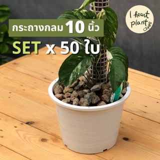 ✨ SET กระถางกลม 10 นิ้ว x 50 ใบ สีขาว ใส่ไม้ใบ ไม้มงคล ไม้ประดับ ไม้ดอก ปลูกผัก ปลูกสลัด | SET 60 x Round White Pot