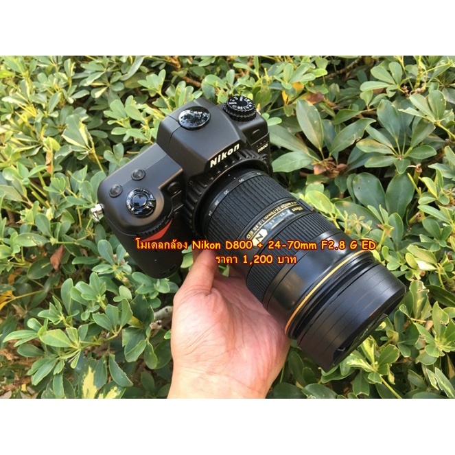 โมเดลกล้อง Nikon D800 +24-70mm F2.8 G ED