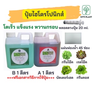 ปุ๋ยไฮโดรโปรนิกส์1ลิตร#ปุ๋ยAB#ปุ๋ยผักสลัด+หลอดตวงปุ๋ย+ฟองน้ำ+เมล็ดผักสลัดเลือกชนิดได้