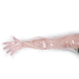 ถุงมือพลาสติก ยาวถึงหัวไหล่ LDPE Disposable Long Glove