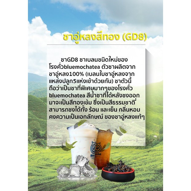 ชาอู๋หลง ขนาดทดลอง 500 กรัม ใบชาอู๋หลง ชาGD8 Tea by Bluemocha - รูปที่ 4
