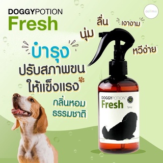 Doggypotion สเปรย์ด็อกกี้โพชั่น​ 250มล. สูตร​fresh สเปรย์บำรุงขนสุนัข​และแมว​ ขนนุ่ม​ลื่นหวีง่าย