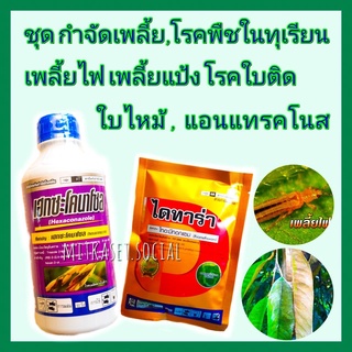 ชุด กำจัดเพลี้ยในทุเรียน  กำจัดโรคพืชในทุเรียน ยาทุเรียน ไทอะมีทอกแซม 100 กรัม + เฮกซะโคนาโซล 1 ลิตร  เพลี้ยไฟ โรคใบติด