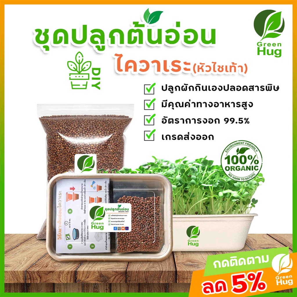 ชุดปลูกต้นอ่อนไควาเระ (หัวไชเท้า)  Organic - ( Kaiware - Radish Sprout Kit - Organic ) GREENHUG เมล็ดต้นอ่อน