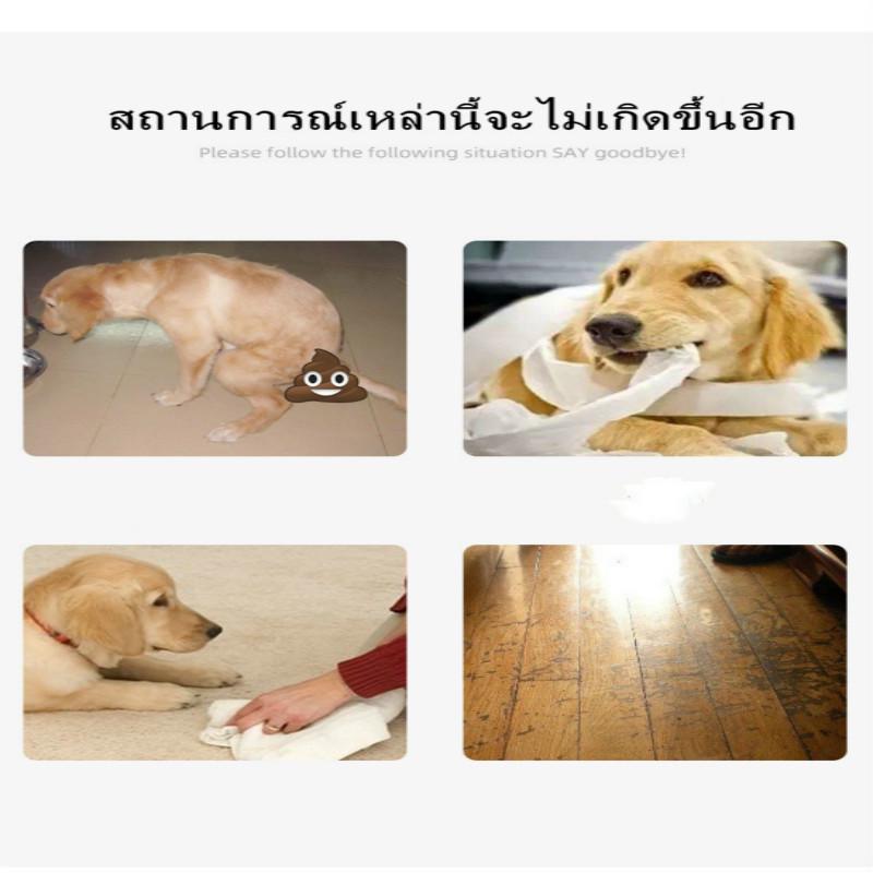 💥COD 💥ถาดรองฉี่สัตว์เลี้ยง ถอดประกอบตามใจชอบ กระโถนในร่มแบบเรียบง่าย แบบมีเสา 🐾 รูปที่ 6