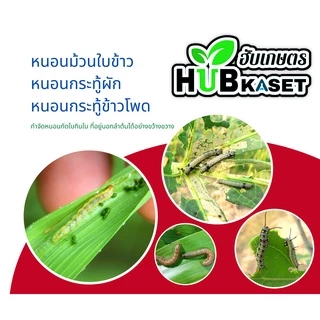 ฟิโพรนิล ไก่เกษตร 1ลิตร (ฟิโพรนิล) ป้องกันและกำจัดเพลี้ย หนอน ด้วง ไร