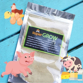 ผงชูรสไก่หมู super grow cyp 30g