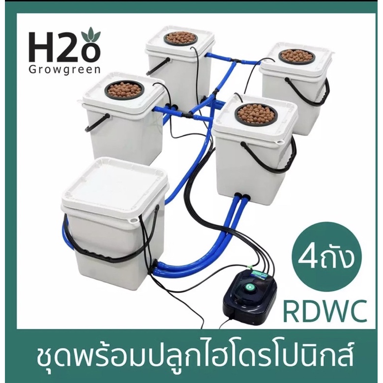 ถังปลูกไฮโดรโปนิก4+1ถังชุดพร้อมปลูกระบบRDWC