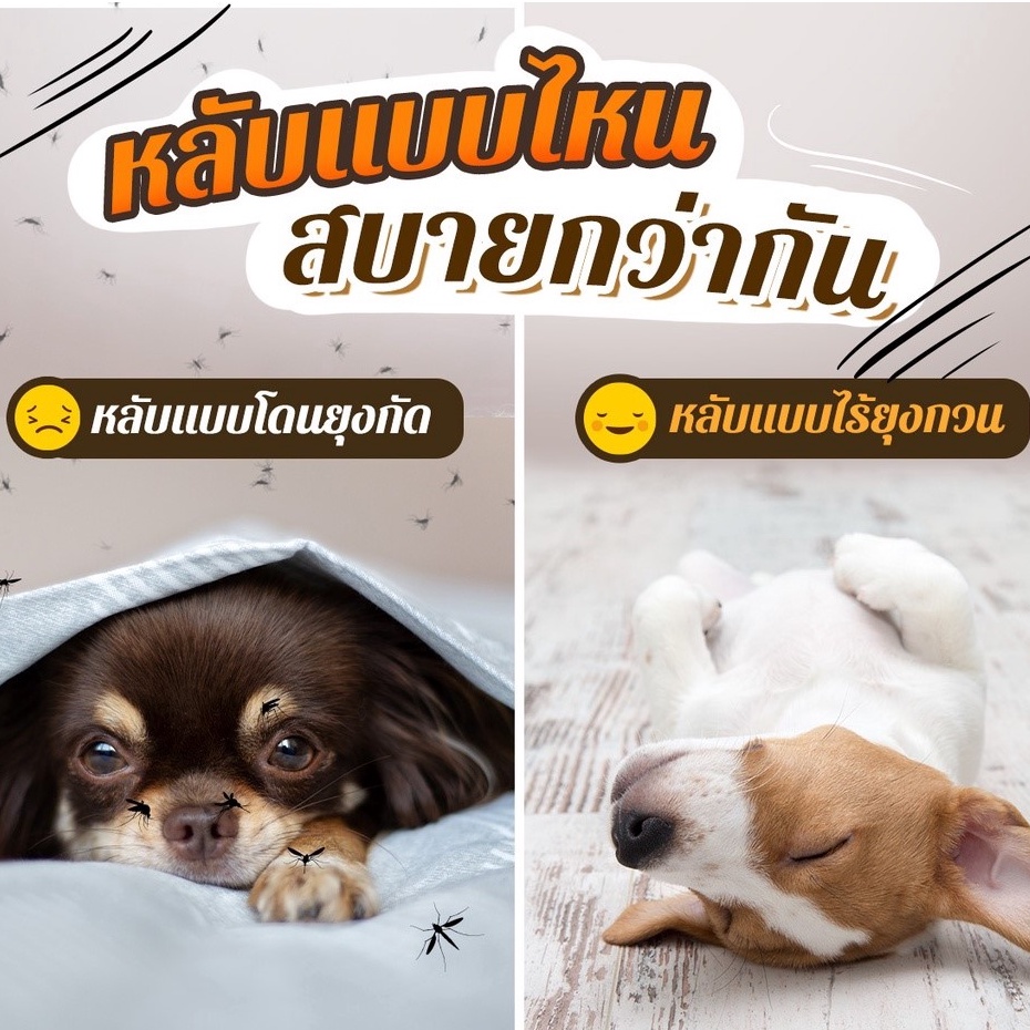 มีแลกซื้อ ราคาพิเศษ KAYOKE สเปรย์ไล่ยุง สูตรอ่อนโยน สำหรับสัตว์เลี้ยง - รูปที่ 3