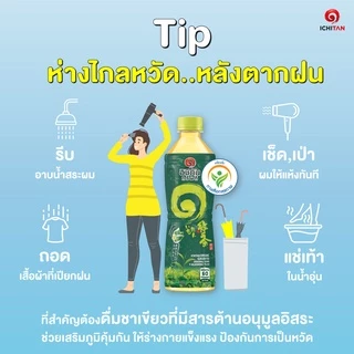 ICHITAN อิชิตัน กรีนที รสต้นตำรับ ขนาด 420 ml. 1 ลัง (24 ขวด) รวมจัดส่ง
