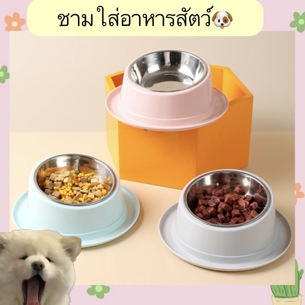 AL-322 ชามอาหารสัตว์เลี้ยง สุนัข แมว ชามกันมด ถ้วยใส่อาหาร ของใช้สัตว์เลี้ยง ใส่อาหารหมา พร้อมส่ง