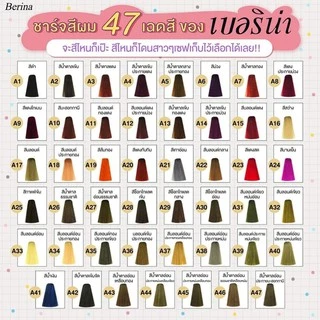 (⭐เบอร์ A1 - A47) Berina Hair Color Cream ครีมย้อมผม เบอริน่า คัลเลอร์ ครีม มี 47 สีให้เลือก (60 g.)