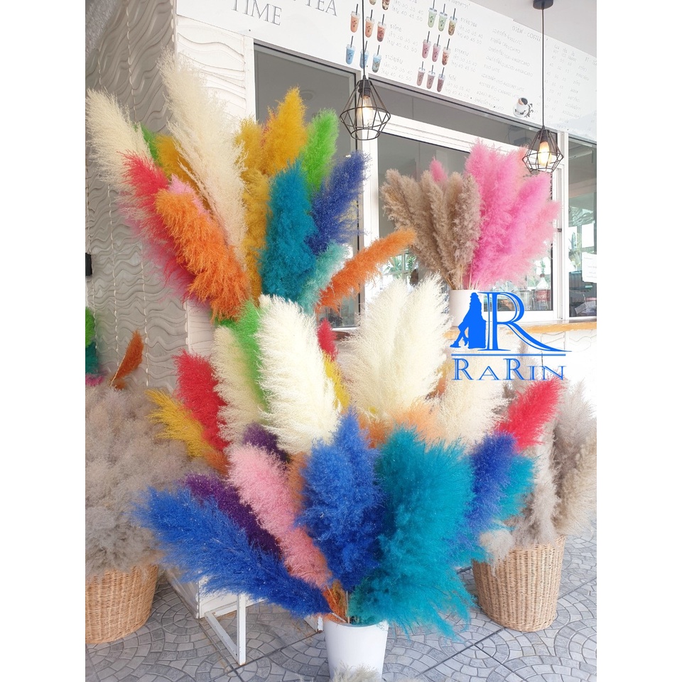 Rarin ดอกเลา ย้อมสี(หลากสี) 1ก้าน ‼️พร้อมส่ง‼️ขนาด 90-100 cm.ดอกรวมก้าน ดอกไม้ธรรมชาติ ดอกฟุ้งฟิ้ง ราคา ถูกที่สุด ดีลบีเคเค แกลเลอรีภาพที่ 6