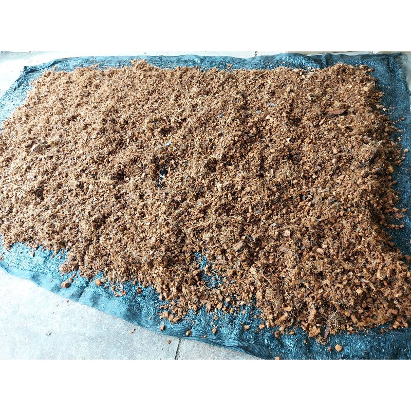 กาบมะพร้าวสับ+ล้างสาร Coco Husk Chips size-s (5Kg.)+ไตรโคเดอร์มา+พร้อมใช้ไม่ต้องแช่เพิ่ม รูปที่ 6
