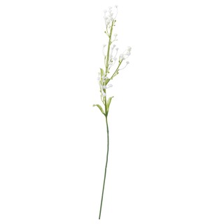 ดอกไม้ประดิษฐ์, Baby’s breath, ขาวSMYCKA สมึคก้า