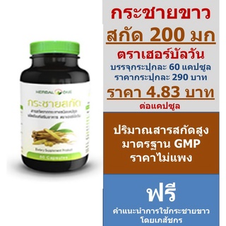 กระชายขาวสกัด 200 มิลลิกรัม 60 แคปซูล อ้วยอันโอสถ เฮอร์บัลวัน พร้อมส่ง Finger Root Extract Herbal One 200 mg 60 capsules