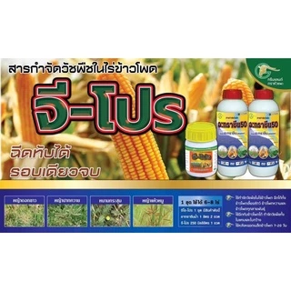 จีโปร ชุดสารคุม-ฆ่า หญ้าในไรข้าวโพด ชุดเดียวจบ ฉีดหลังปลูก 15 วัน #จีโปร #เคมีเกษตร