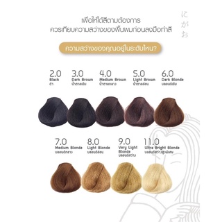 สีย้อมผมนิกาโอะ(สีโทนธรรมชาติ)Natural