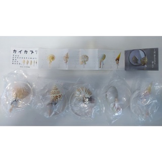gashapon Panda ana  น้องหอยครบชุด 5 แบบ