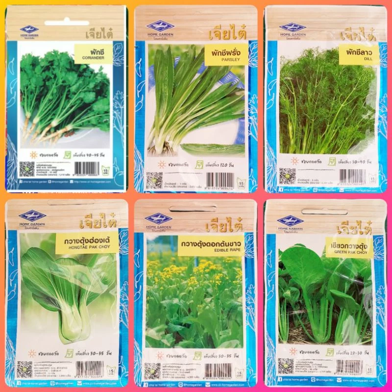 เมล็ดพันธุ์ผัก เจียไต๋ ผักซอง 9 บาท ผักชี ผักชีฝรั่ง ผักชีลาว กวางตุ้งฮ่องเต้ กวางตุ้งดอก กวางตุ้งต.