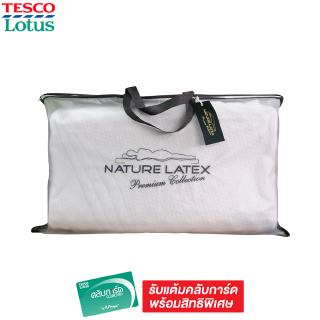 NATURE หมอนยางพาราชาร์โคล คอนทัวร์มีปุ่ม