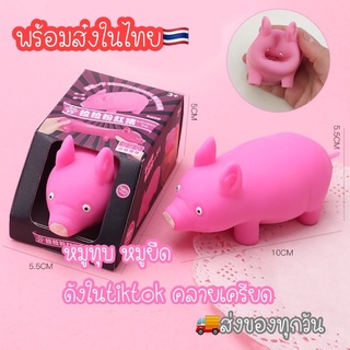 หมูทุบ หมูยืด ดังในtiktok พร้อมส่ง