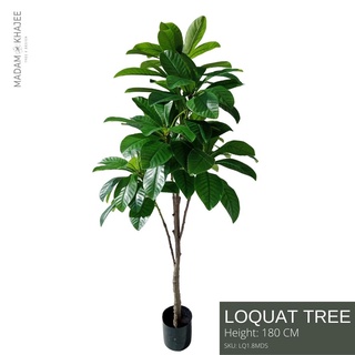 Loquat - Height 180 cm. ต้นโลควอท ความสูง 180 ซม.ต้นไม้ปลอมเกรดพรีเมี่ยมเพื่อการตกแต่ง