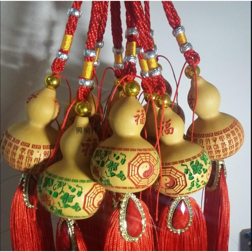น้ำเต้าคละลาย ขนาด 5-15 cm กรุณาอ่านรายละเอียดก่อนซื้อ (พร้อมส่งจากไทย)
