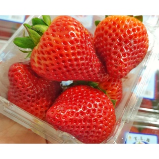 TOP-1สตอเบอรี่นำเข้า จากอเมริกา/ออส Strawberry (USA/AUS) (1แพค/250กรัม) ~ลดพิเศษ~ Premium ที่สุดของสตรอเบอรี่ (สตอเบอรี่