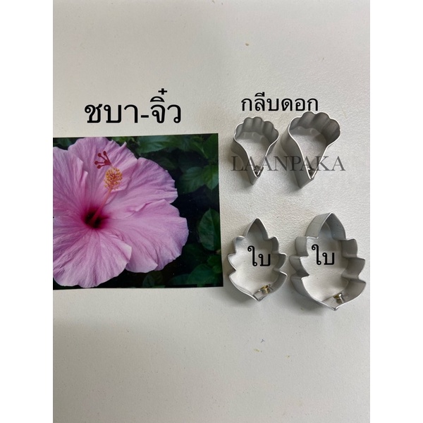 พิมพ์ดอกชบา-จิ๋ว,พิมพ์ตัดดอกไม้จิ๋ว