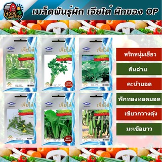 CHIATAI 🇹🇭 ผักซอง เจียไต๋ OP  เมล็ดพันธุ์ พริกหนุ่มเขียว คึ่นฉ่าย คะน้ายอด ฟักทองทอดยอด เขียวกวางตุ้ง มะเขือยาว