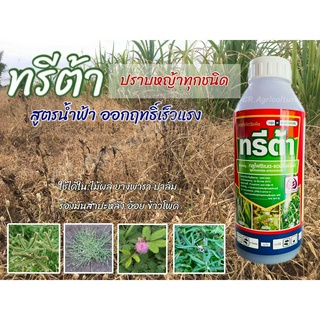 ยาฆ่าหญ้า กลูโฟซิเนต แอมโมเนียม 15% ทรีต้า (สูตรน้ำฟ้า) ยาฆ่าหญ้าเผาไหม้ กำจัดหญ้าทุกชนิด  1 ลิตร