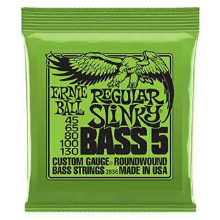 สายเบส Ernie Ball Regular Slinky 5-String Bass Nickel Wound