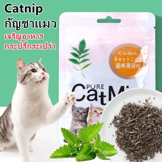 😻พร้อมส่ง😻 อาหารแมว Catnip กัญชาแมว ช่วยขับถ่ายขน ช่วยระบบเผาผลาน เจริญอาหาร กระปรี้กระเปร่า 5 กรัม / ถุง