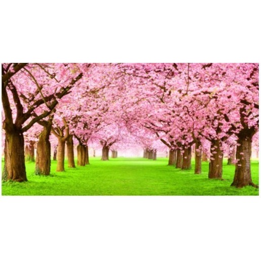 ภาพวาดเพชร Cherry Blossom Forest - LV227