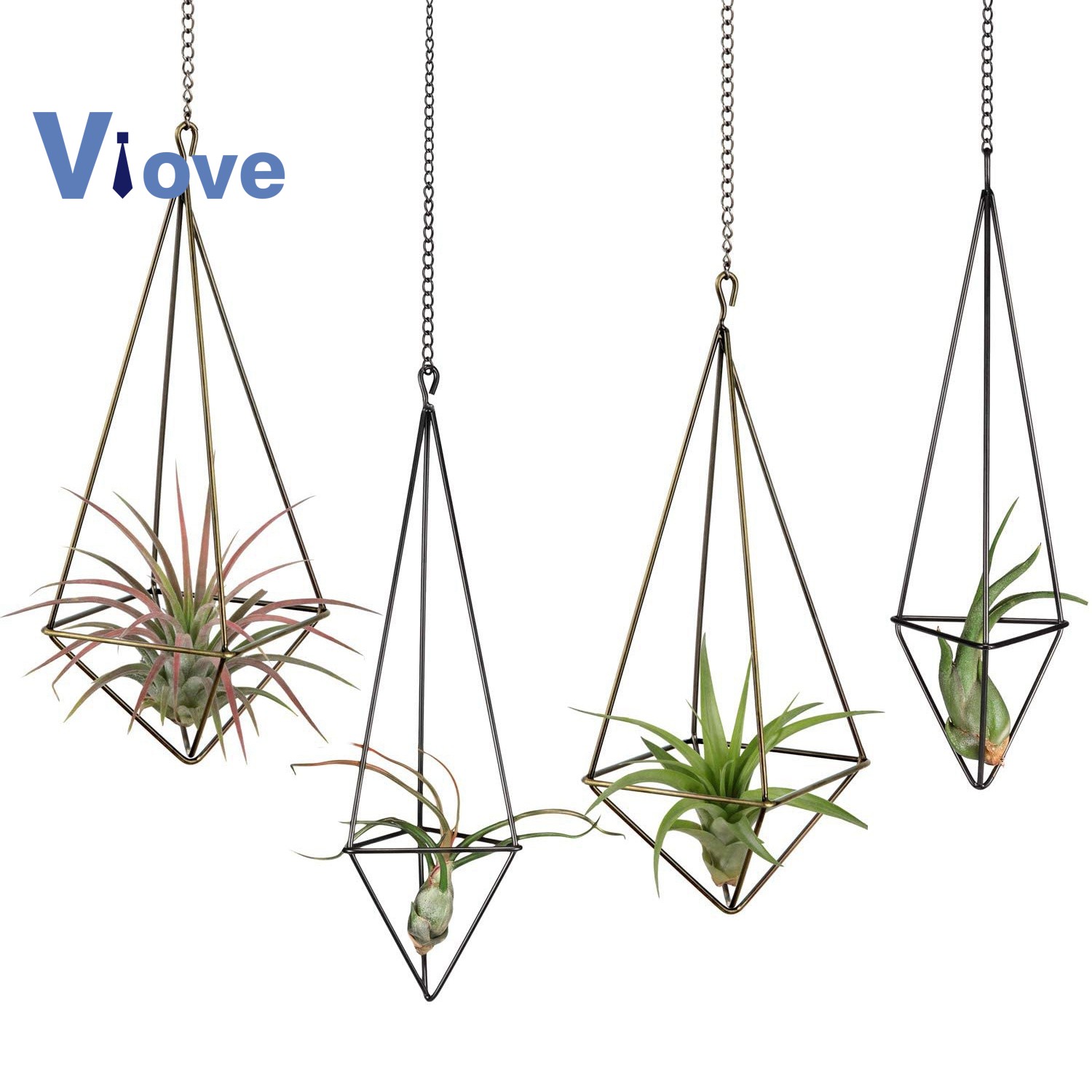 Hanging Air Plant Holder 4 Pack 2 Sizes Metal Air Plant Rack Chasoedfg Th Thaipick