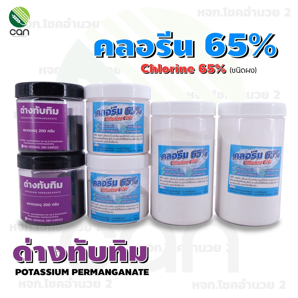 My Image 31