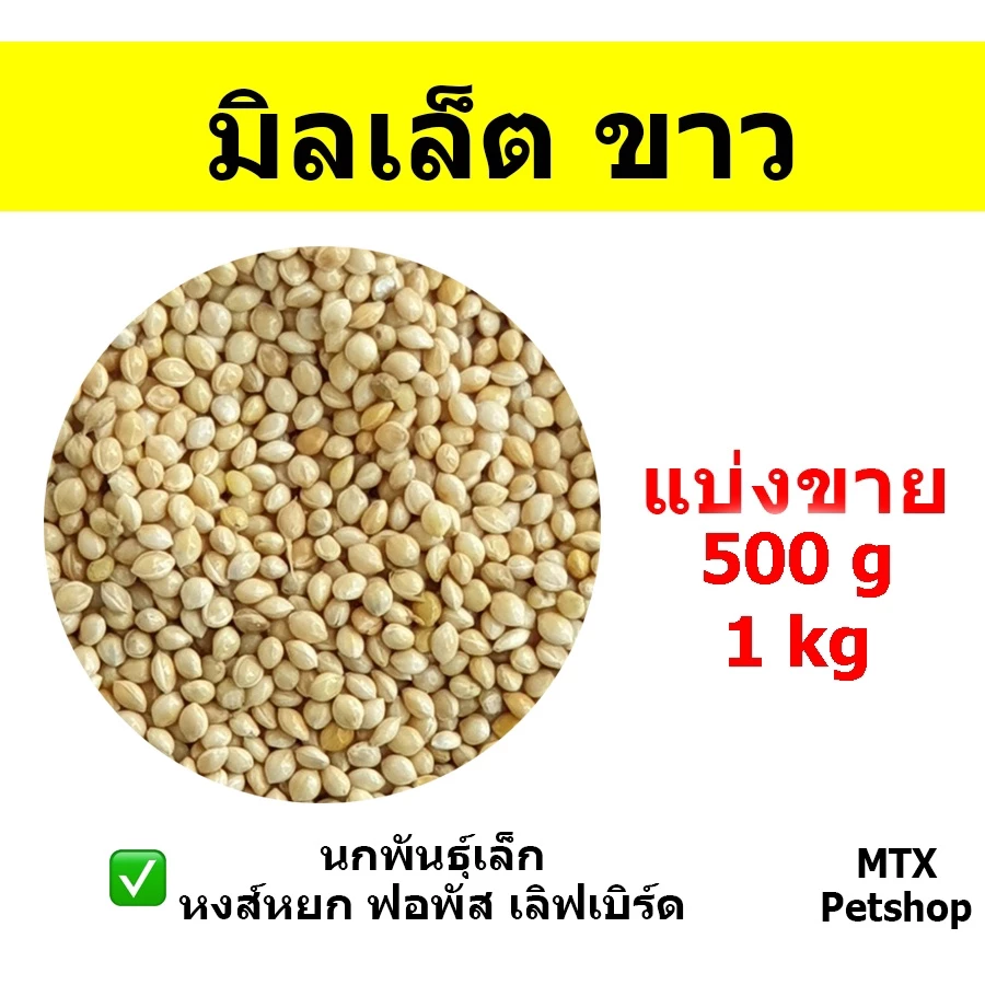 มิลเล็ต ขาว // สำหรับนก และ สัตว์ฟันแทะ