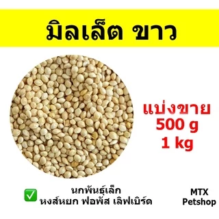 มิลเล็ต ขาว // สำหรับนก และ สัตว์ฟันแทะ