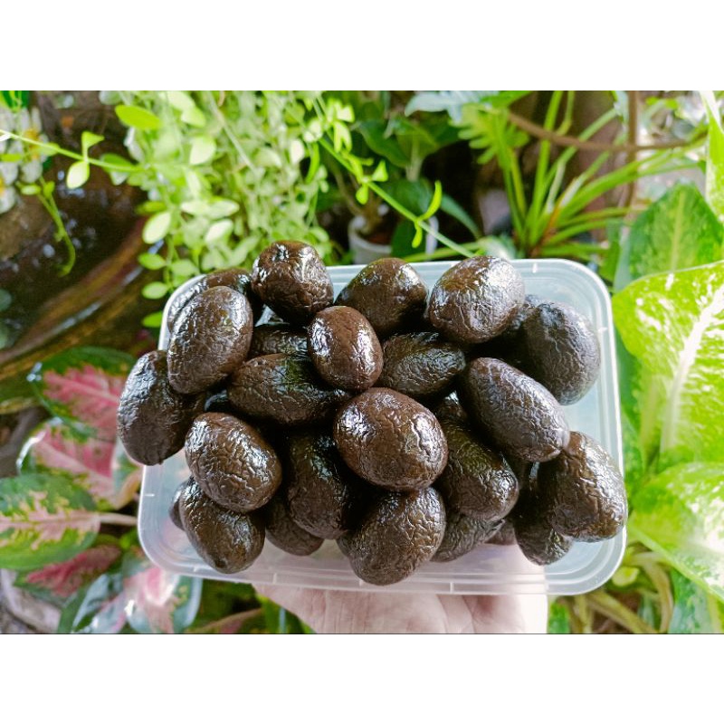 สมอแช่อิ่มอบน้ำผึ้ง โบราณ(สมอไทย)