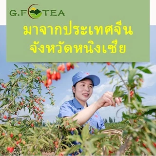โกจิเบอร์รี่ เก๋ากี้ 青海大粒红枸杞 ขนาด500กรัม เมล็ดใหญ่ เม็ดใหญ่ เกรดAAA ผลของการล้างตับและตา 枸杞
