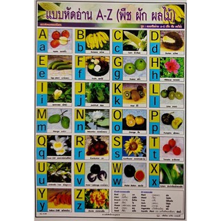 โปสเตอร์ แบบหัดอ่าน A-Z (พืช ผัก ผลไม้) No.9188 โปสเตอร์ภาพประกอบการศึกษา โปสเตอร์กระดาษ