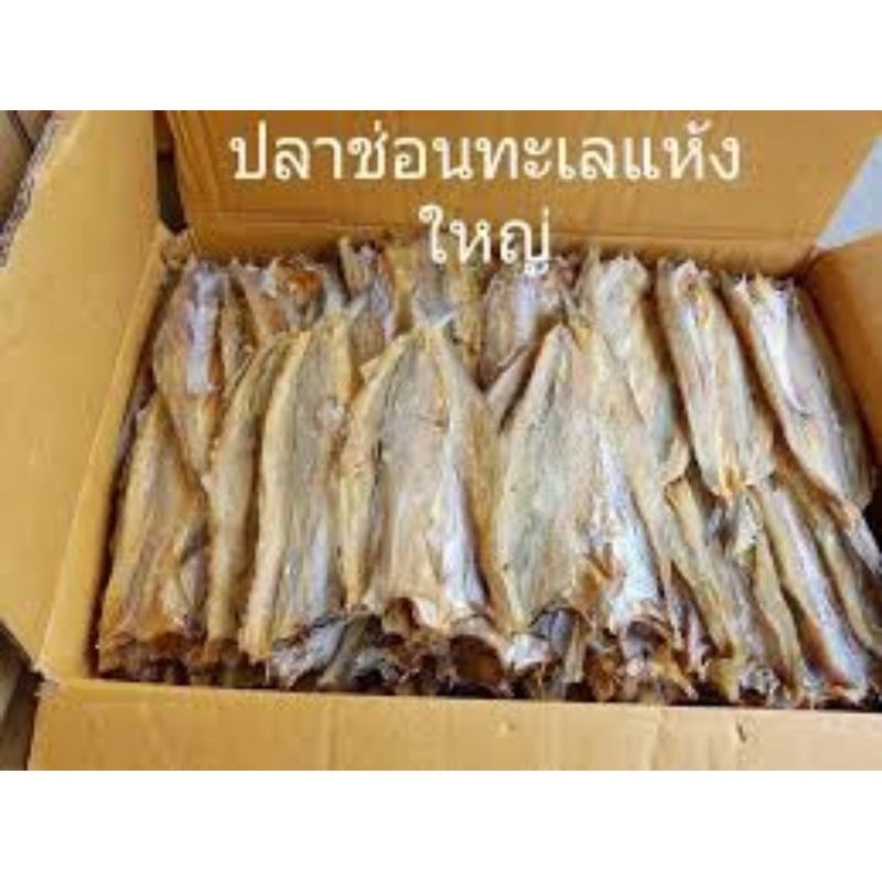 ปลาช่อนทะเลตากแห้งราคาถูก ปลามีแบบเค็มและจืด ไซด์เล็กไซด์ใหญ่