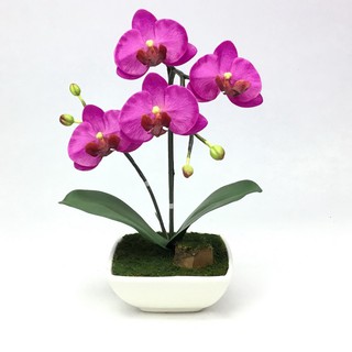 OrientalFineArt ดอกกล้วยไม้ปลอม phalaenopsis จัดในกระถางดอกไม้เซรามิค