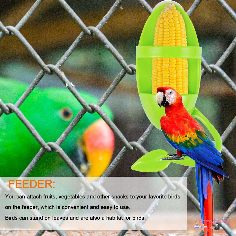 Parrot Bird Feeder ปลาหมึกกระดูกชั้นวางอาหารนกของเล่น Parrot Supplies