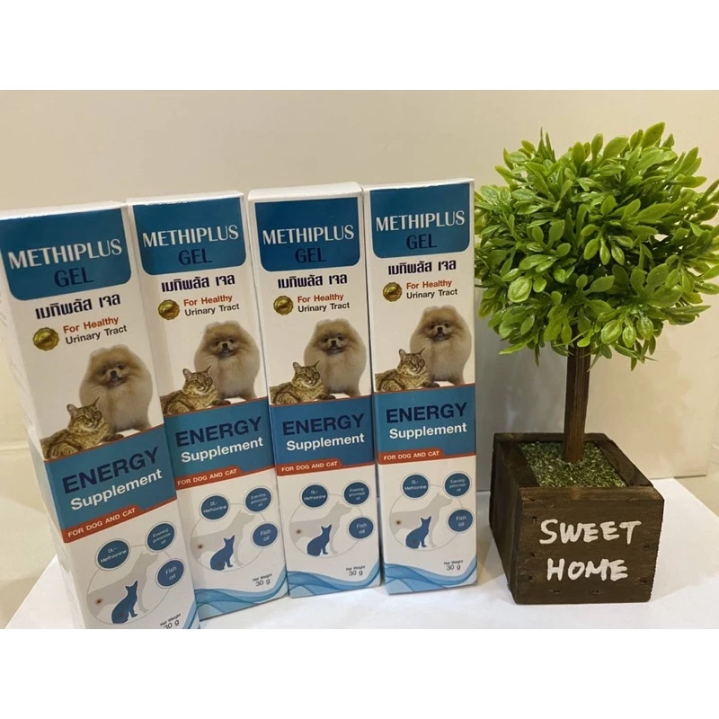 1แถม1 เมทิพลัส เจล Exp.2027 ลอตใหม่ล่าสุด บรรเทาอาการเกิดนิ่วของน้องแมว น้องหมา